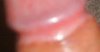 upload_2014-12-31_15-30-50.jpeg