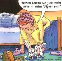 images1.webp