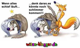 lustige-cartoons.webp