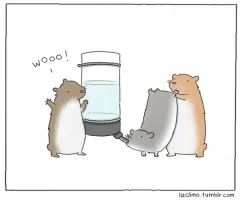 small_hamster_party-600x500.webp