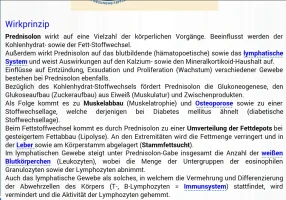 Predni_1.webp