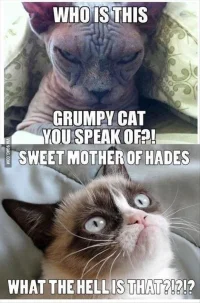 Sweet-Mother-of-Hades.webp