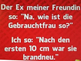 Witz1.webp