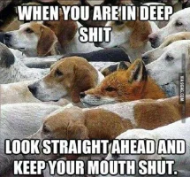 When-youre-in-deep-sht.webp
