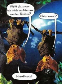 bat.webp