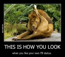Dont-like-your-own-Facebook-status.webp