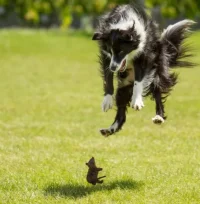 upload_2015-6-23_22-28-53.webp