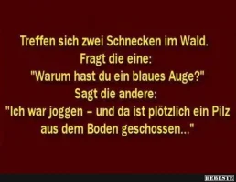 9a1dfb226aee56703153461efb3a29e88210.webp