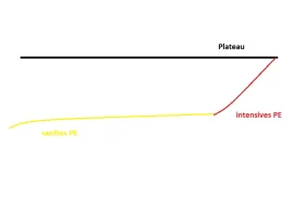 PE.webp
