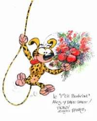 Marsu_Blumenstrauss_klein.webp