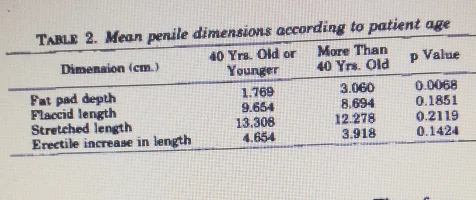 Wessels Studie.webp
