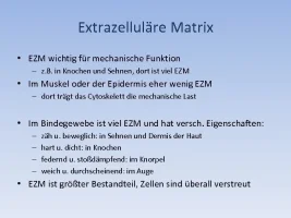image-3.jpg
