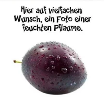 Pflaume.webp