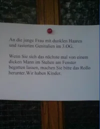 Fenster.webp