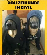 Polizeihunde_in_Zivil.webp