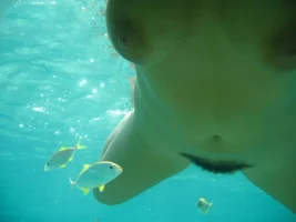 underwater-04.webp