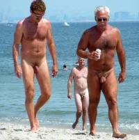 255_1000.webp