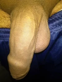 459_1000.webp