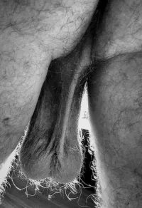 192_1000.webp