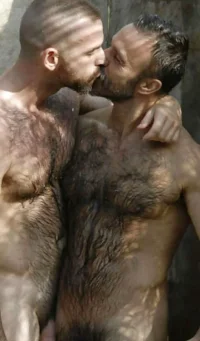 290_1000.webp