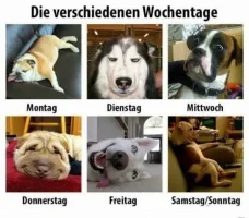 die_verschiedenen_Wochentag.webp