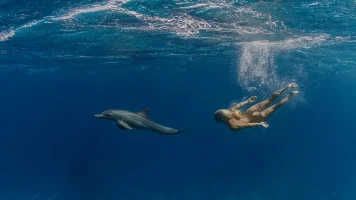 990_1000 (2).webp
