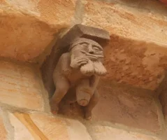 sculpt med.webp
