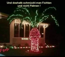 xmas.webp