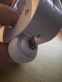 IMG_3481.jpeg