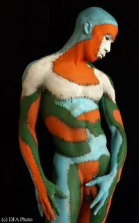 art body 4 (1).webp