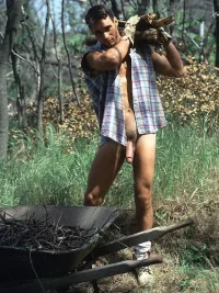 chop-wood2.webp