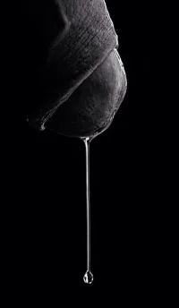 tumblr_og2vdkXjuZ1uinqnco1_500.webp