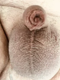 31CA77F1-F117-43D3-AA5A-94D5070B7967.webp