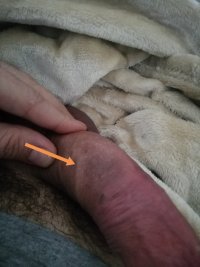 IMG_20220208_122508.jpg