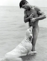 pets2.webp