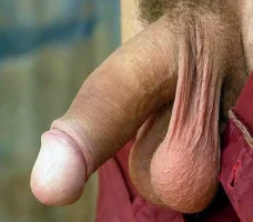 close620.webp