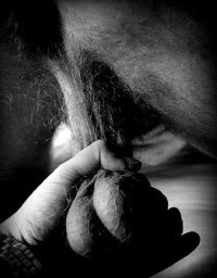 635_1000 (2).jpg