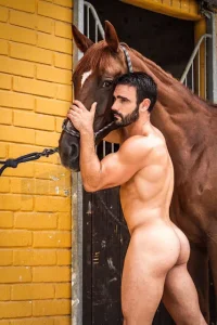horse (1).webp