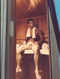 sauna.webp