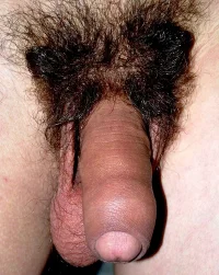 101021_088.webp