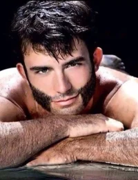 wolverine.webp