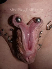 BME21.webp