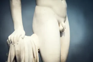 penis.webp