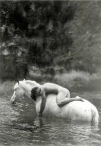 art vint horse.webp