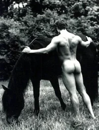sexy-naked-men-horseriding-22-1.webp
