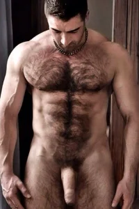3a58332b65596ca1decf50dd40e77aaf.webp