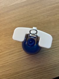 IMG_3736.jpeg