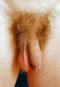 close775.webp