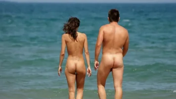 263_1000.webp