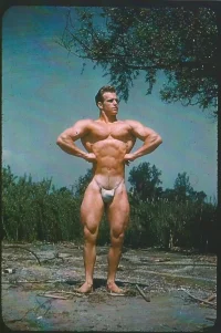 fdhrtzz.webp